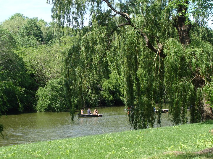 You can also row around Central Park for a few bucks.