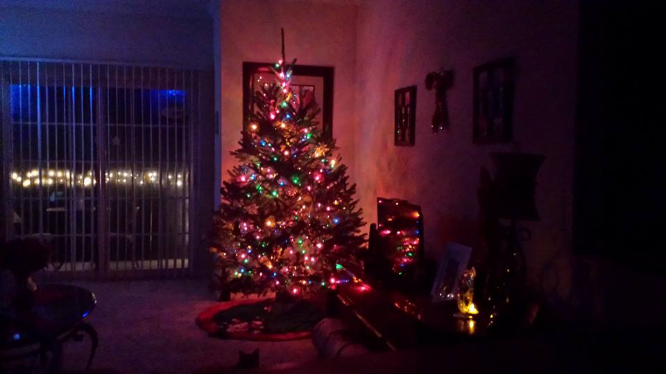 NC_Christmas_Tree_2015